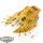 Aeldari - Wave Serpent - teilweise bemalt