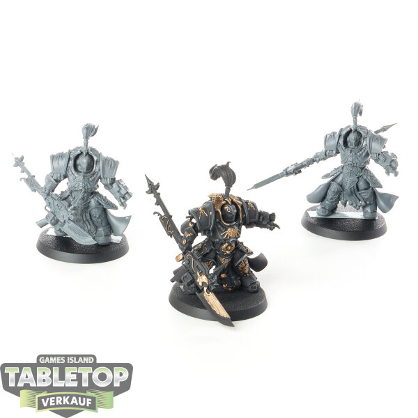 Adeptus Custodes - 3x Allarus Custodians - teilweise bemalt