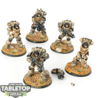 Space Marines - 5x Heavy Intercessors - bemalt