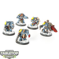 Space Wolves - 5x Wolf Guard Terminators - bemalt