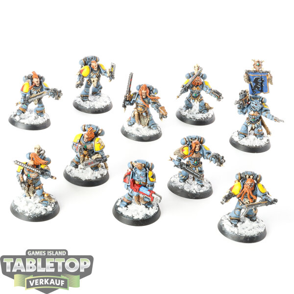 Space Wolves - 10x Blood Claws - bemalt