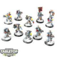 Space Wolves - 10x Grey Hunters - bemalt