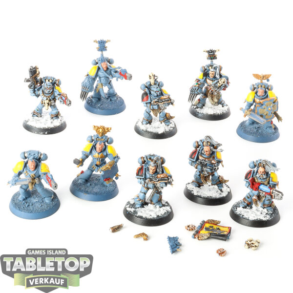 Space Wolves - 10x Grey Hunters - teilweise bemalt