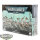 Tyraniden - 12 x Hormagaunts (Classic) - Originalverpackt / Neu