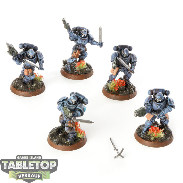Space Wolves - 5 x Hounds of Morkai - bemalt