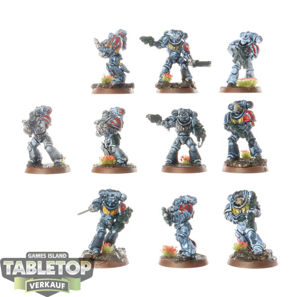 Space Wolves - 10 x Intercessors - bemalt