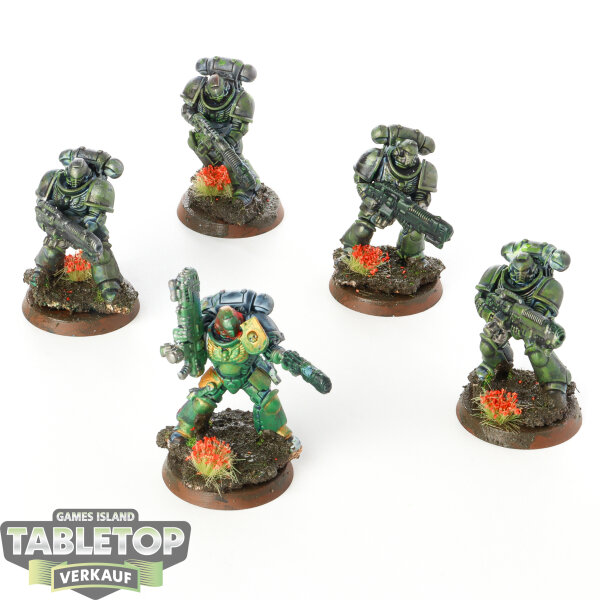 Space Wolves - 5 x Primaris Hellblasters - bemalt