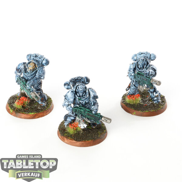 Space Wolves - 3 x Primaris Eradicators - bemalt