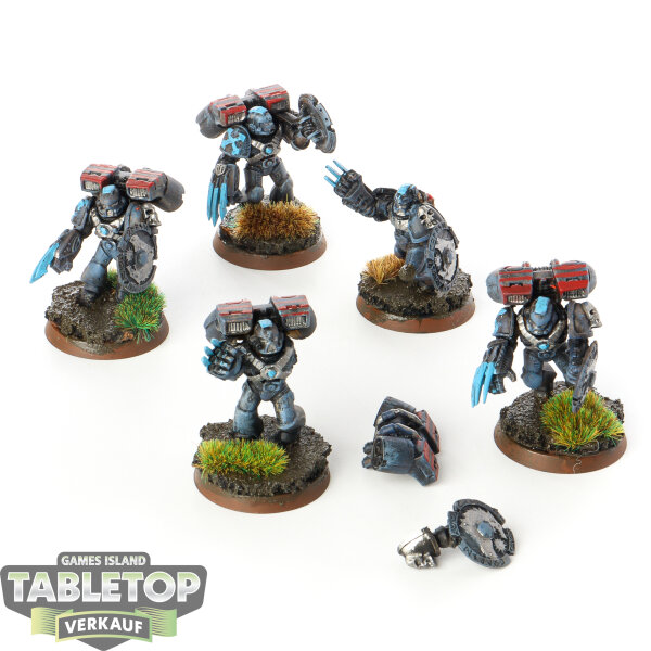 Space Wolves - 5 x Vanguard Veteran Squad (Classic) - bemalt