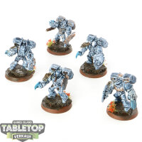 Space Wolves - 5 x Vanguard Veteran Squad (Classic) - bemalt