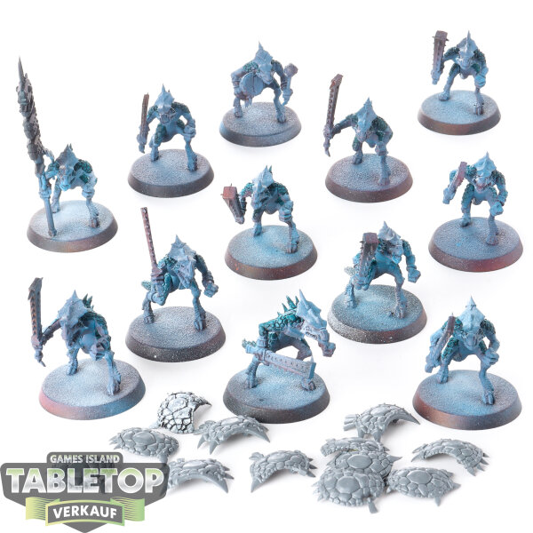 Seraphon - 12x Saurus Warriors klassisch - teilweise bemalt
