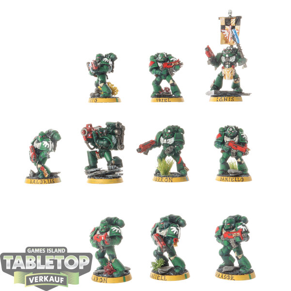Dark Angels - 10 x Tactical Squad klassisch - bemalt