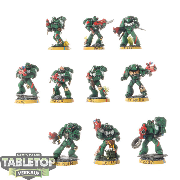 Dark Angels - 10 x Tactical Squad klassisch - bemalt