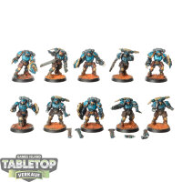 Space Marines - 10x Primaris Reivers - bemalt