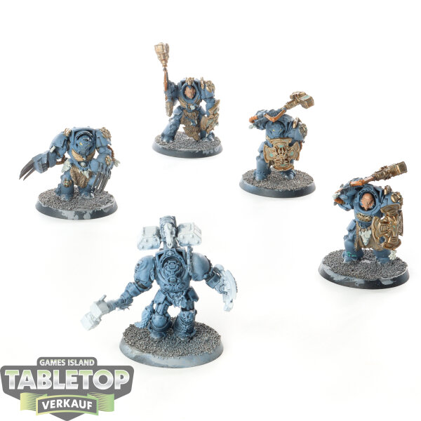 Space Wolves - 5 x Wolf Guard Terminators - teilweise bemalt