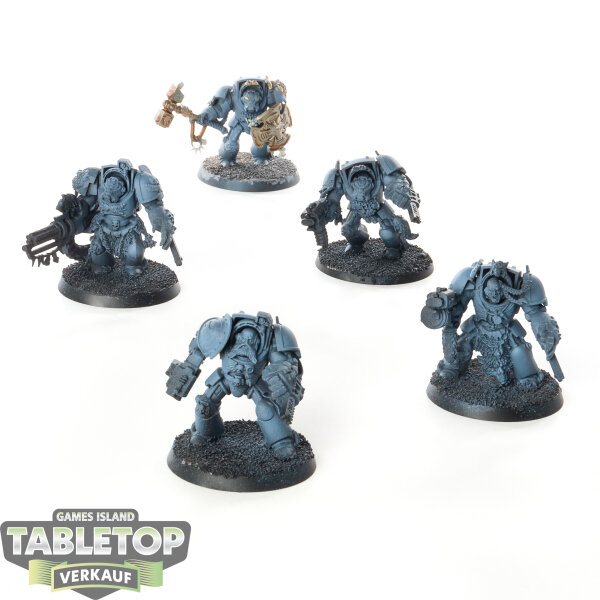 Space Wolves - 5 x Wolf Guard Terminators - teilweise bemalt