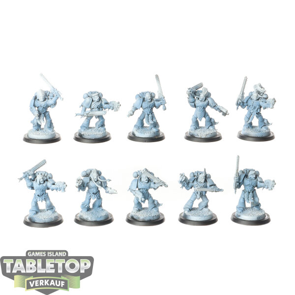 Space Wolves - 10 x Grey Hunters - teilweise bemalt
