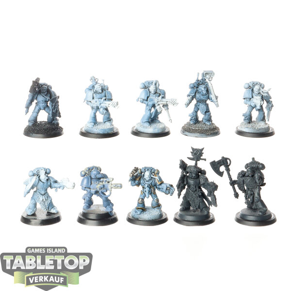 Space Wolves - 10 x Grey Hunters - teilweise bemalt