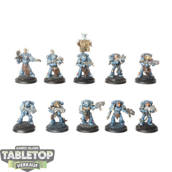 Space Wolves - 10 x Grey Hunters - bemalt