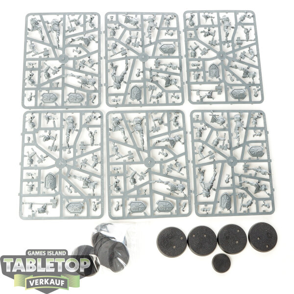Stormcast Eternals - 10 x Liberators - im Gussrahmen