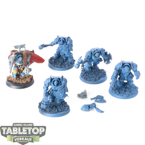 Space Wolves - 5x Wolf Guard Terminators - teilweise bemalt