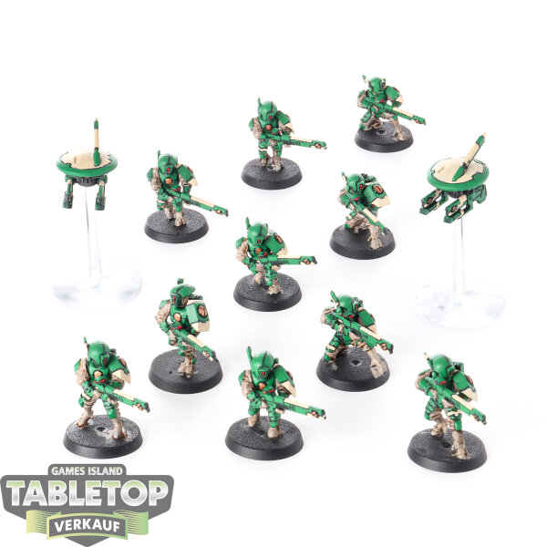 Tau Empire - 10 x Fire Warriors Strike Team - bemalt