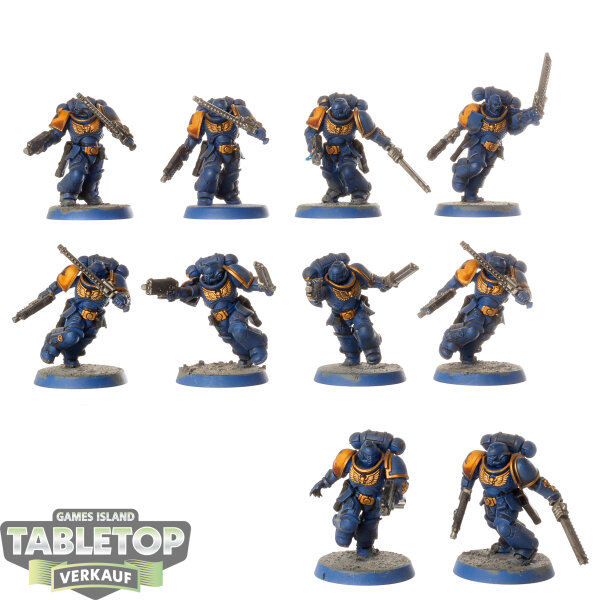 Space Wolves - 10x Assault Intercessors - bemalt