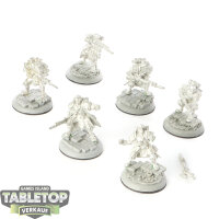 Cygnar - 6 Trencher Infantary - bemalt