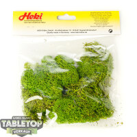 Zubehör - Islandmoos hellgrün -...