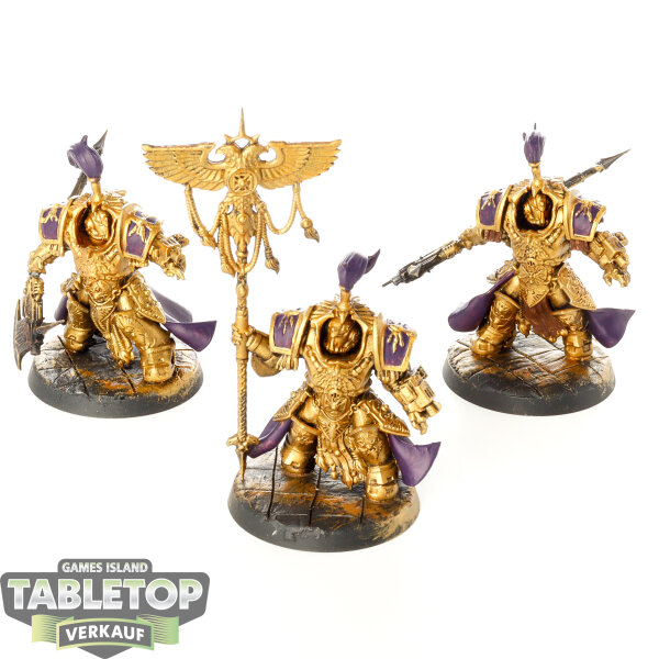 Adeptus Custodes - 3 x Allarus Custodians - teilweise bemalt