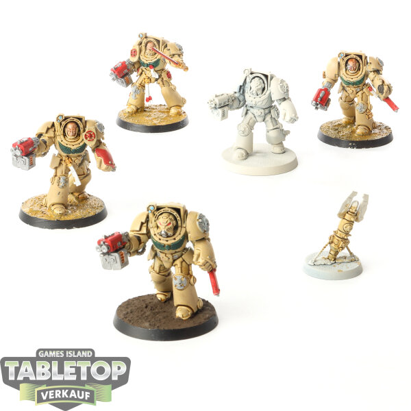 Space Marines - 6x Terminator Squad - bemalt
