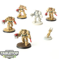 Space Marines - 6x Terminator Squad - bemalt