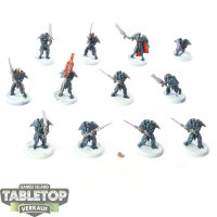 Retribution of Scyrah - 12x Dawnguard Sentinels - bemalt