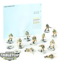 Astra Militarum - 10x Cadian Shock Troops - teilweise bemalt