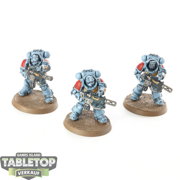 Space Marines - 3 x Primaris Eradicators - teilweise bemalt