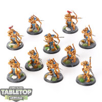 Stormcast Eternals - 10 Judicators - bemalt
