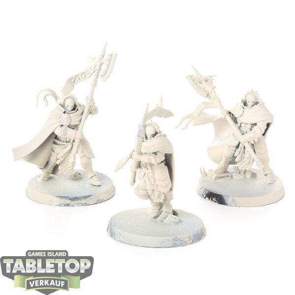 Stormcast Eternals - 3 Praetors - grundiert