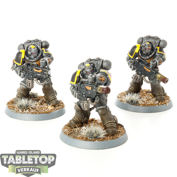 Space Marines - 3x Primaris Eradicators - bemalt