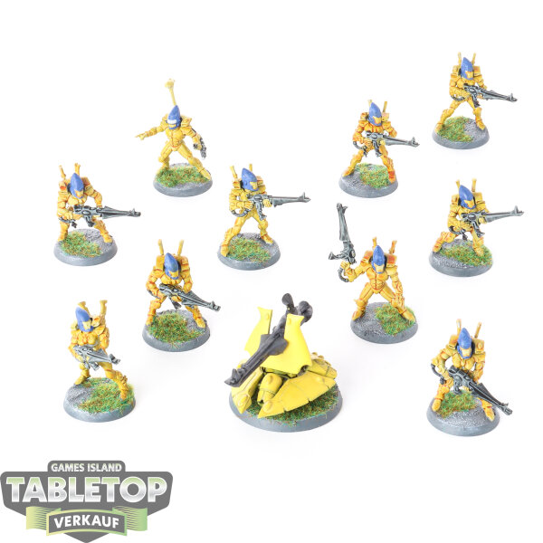 Aeldari - 10x Guardian Defenders - teilweise bemalt