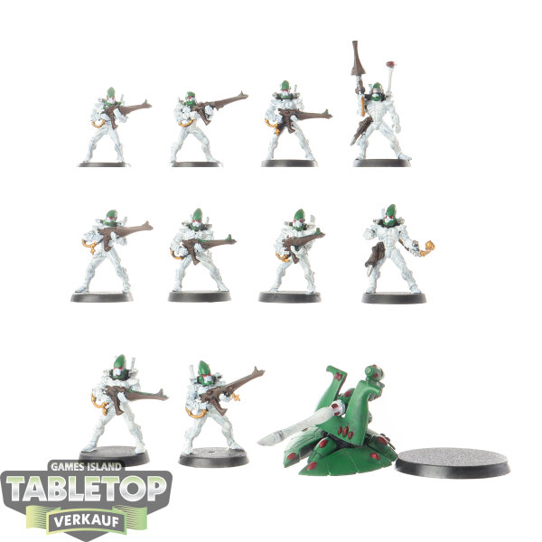Aeldari - 10 x Guardian Defenders klassisch - teilweise bemalt