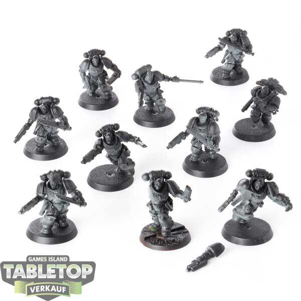 Space Wolves - 10x Assault Intercessors - teilweise bemalt