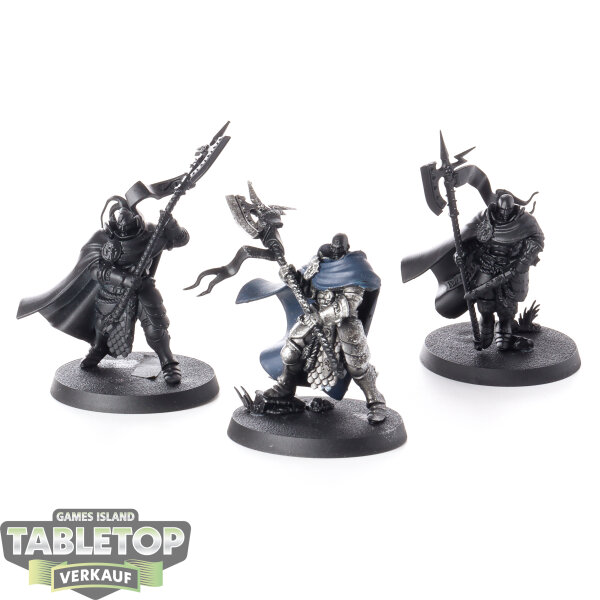 Stormcast Eternals - 3x Praetors - teilweise bemalt