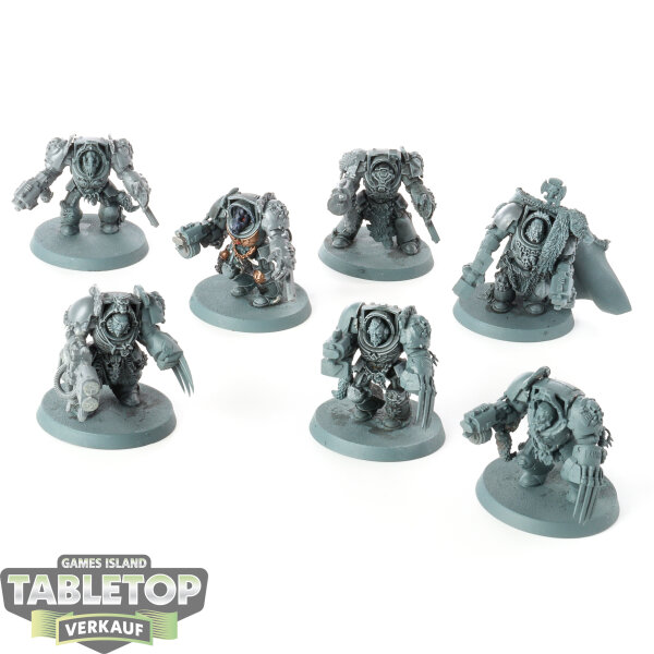 Space Wolves - 7 Wolf Guard Terminators - grundiert