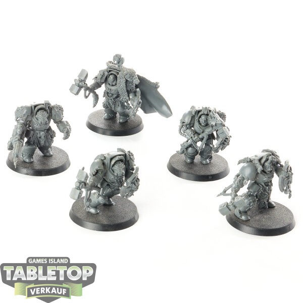 Space Wolves - 5 Wolf Guard Terminators - unbemalt