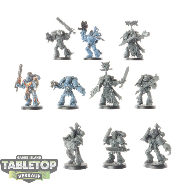 Space Wolves - 10 Grey Hunters - teilweise bemalt