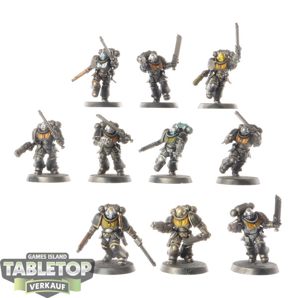 Space Marines - 10 Assault Intercessors - teilweise bemalt