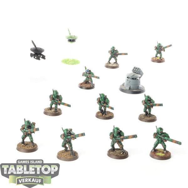 Tau Empire - 10 x Fire Warriors Strike Team - bemalt