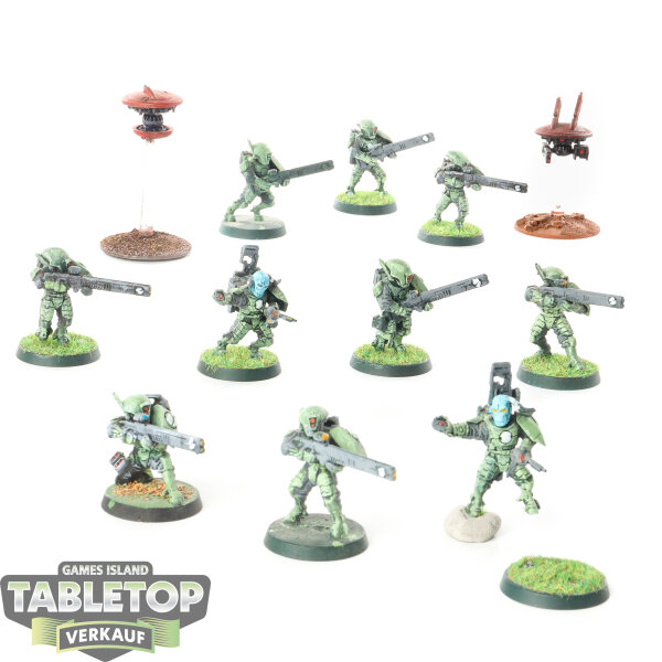 Tau Empire - 10 x Fire Warriors Strike Team - bemalt