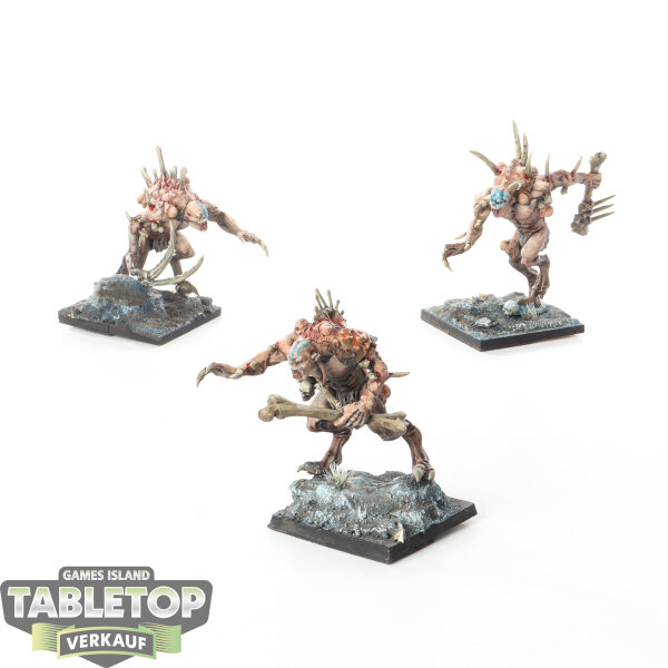 Flesh-eater Courts - 3 x Crypt Haunter Courtier - bemalt