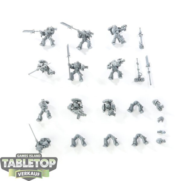 Grey Knights - 10 x Grey Knights Strike Squad - unbemalt